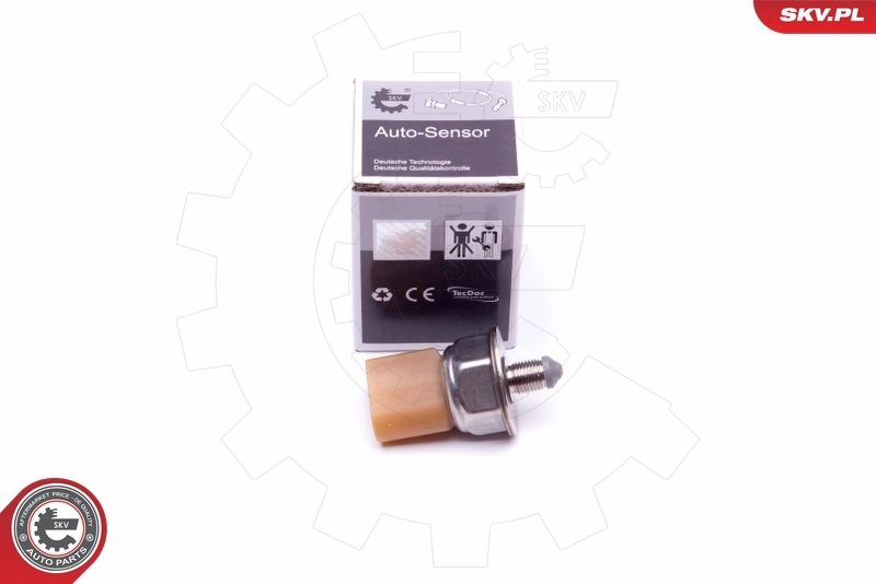 Sensor, fuel pressure 17SKV581