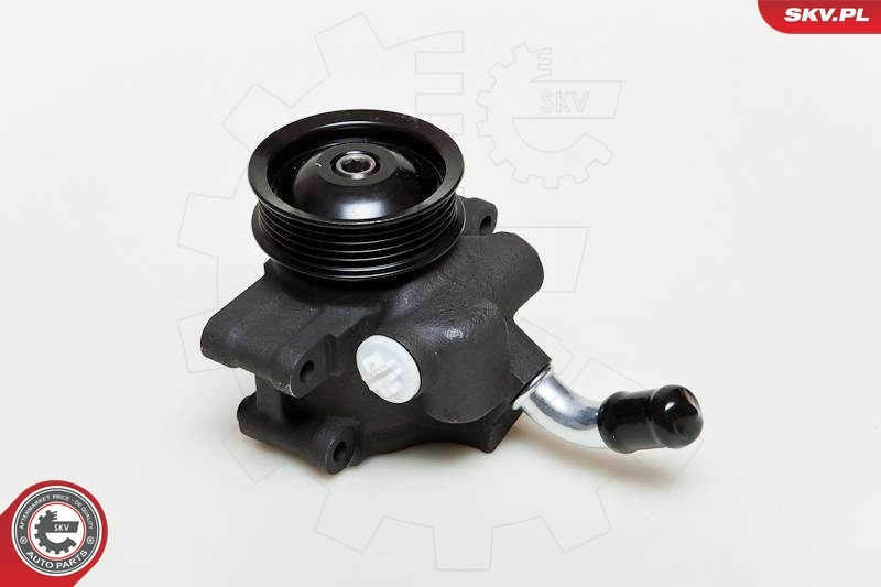 Hydraulic Pump, steering 10SKV035