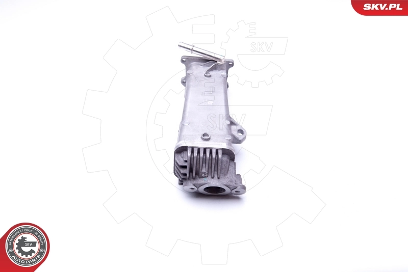EGR Valve 14SKV191