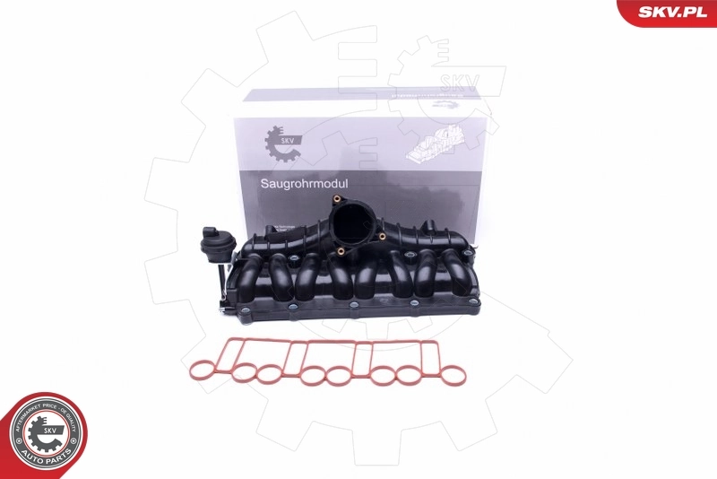 Intake Manifold Module 49SKV036