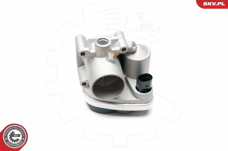 Throttle Body 12SKV042