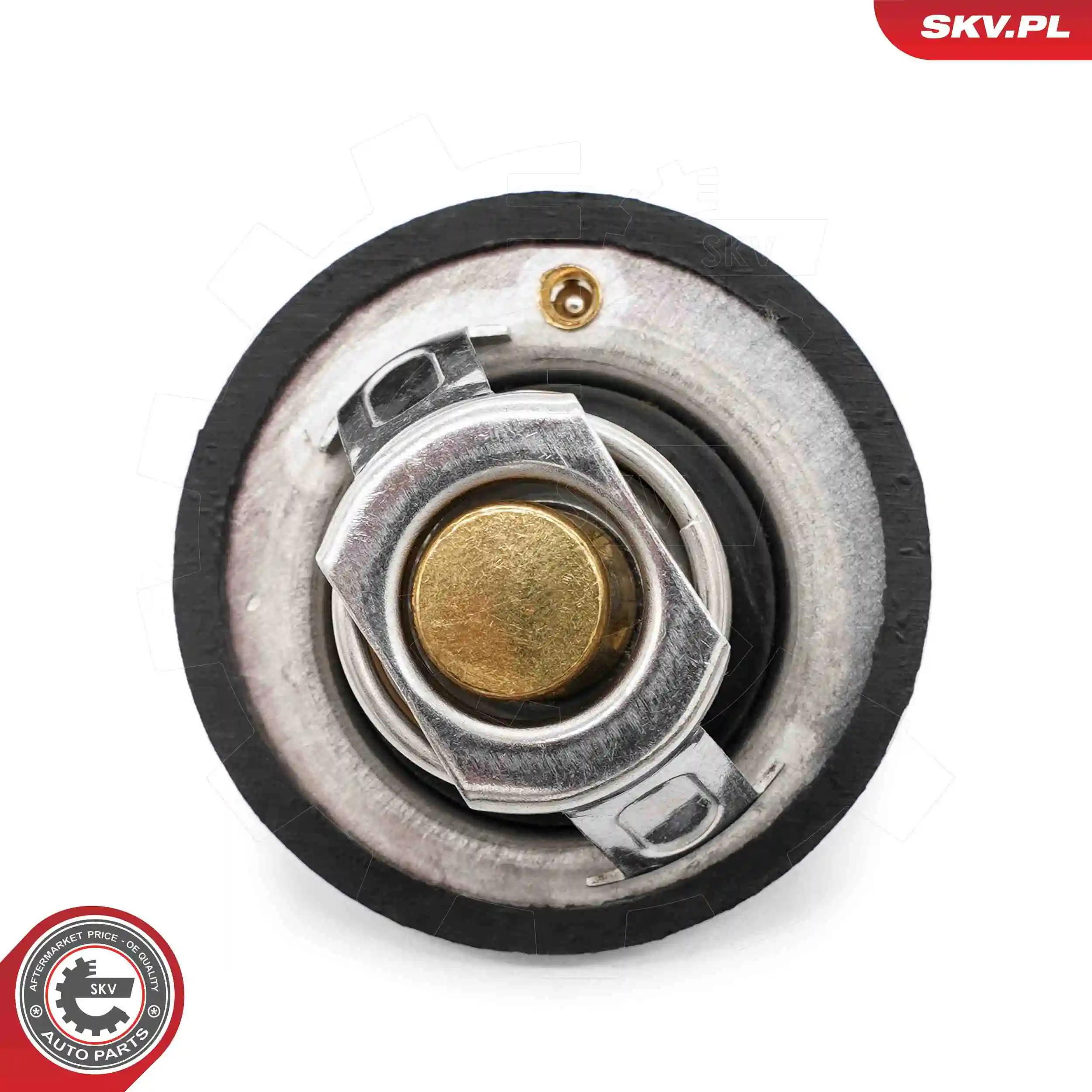 Thermostat, coolant 20SKV218