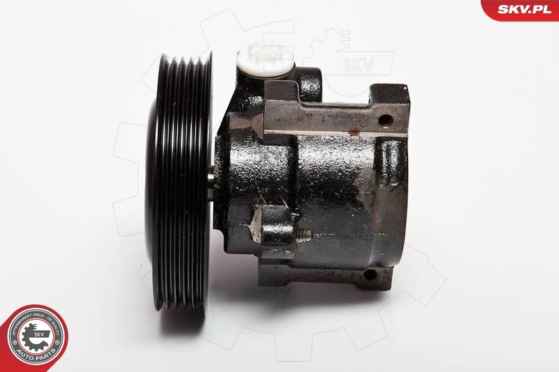 Hydraulic Pump, steering 10SKV065
