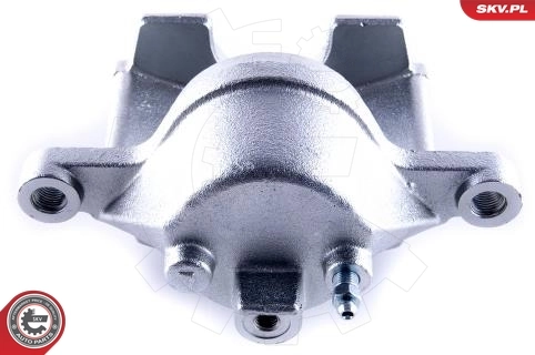 Brake Caliper 55SKV461