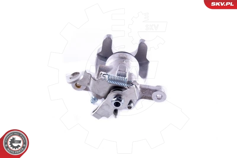 Brake Caliper 55SKV123