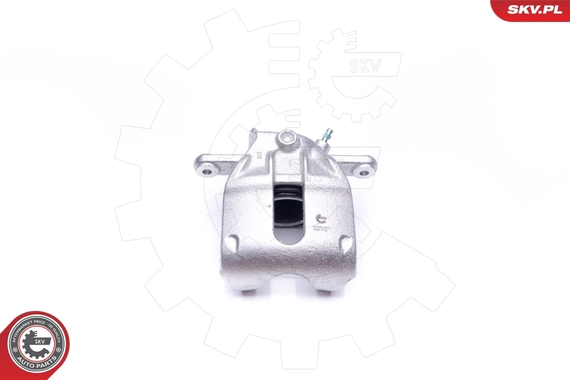 Brake Caliper 42SKV301