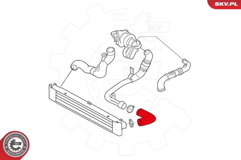 Charge Air Hose 43SKV066