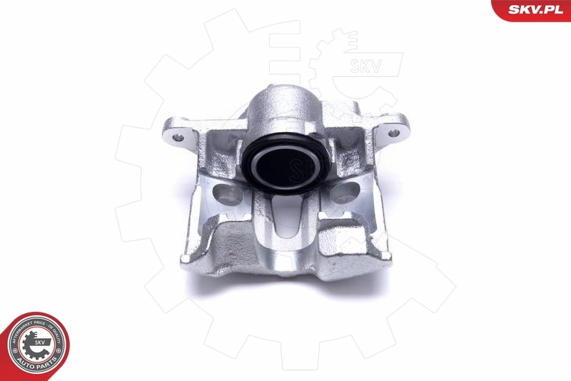 ESEN SKV 50SKV972 Brake Caliper