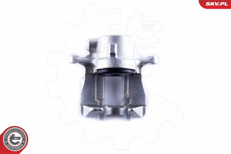 ESEN SKV 55SKV041 Brake Caliper