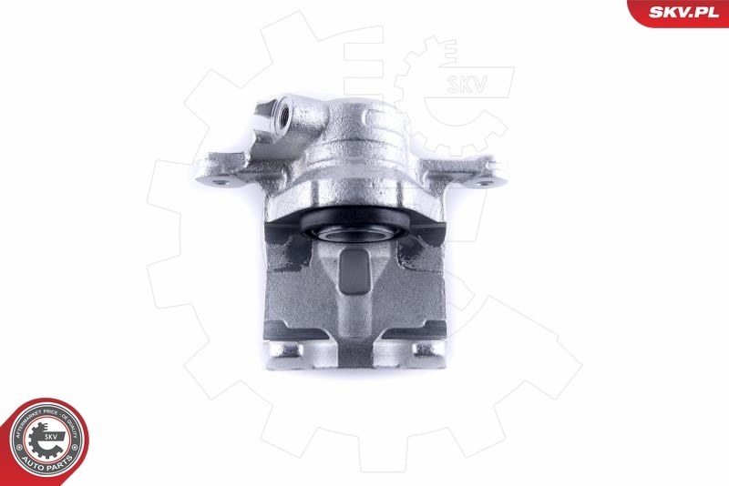 Brake Caliper 55SKV284
