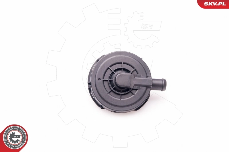 Valve, crankcase ventilation 31SKV023