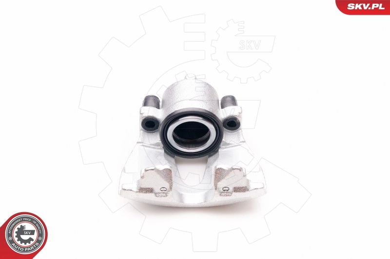 Brake Caliper 23SKV055