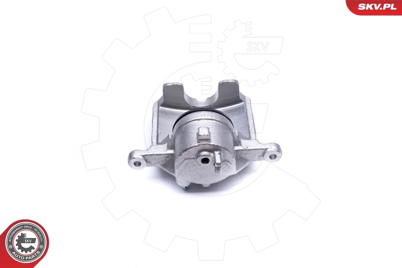 Brake Caliper 23SKV496