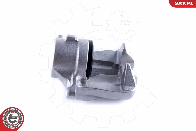 ESEN SKV 55SKV042 Brake Caliper
