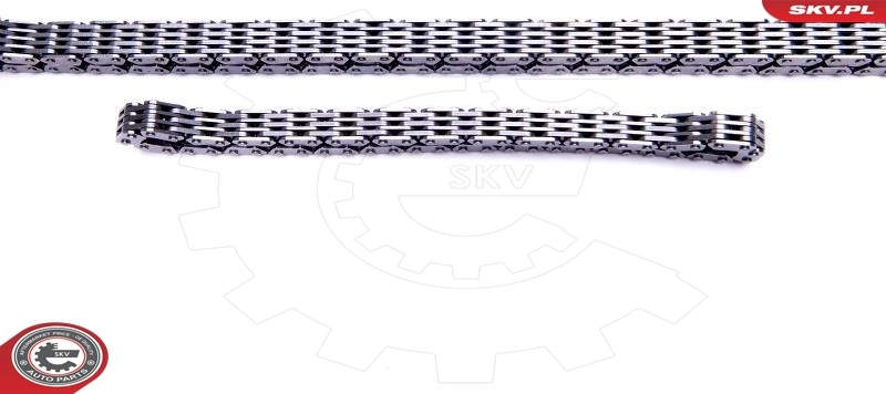 Timing Chain Kit 21SKV187