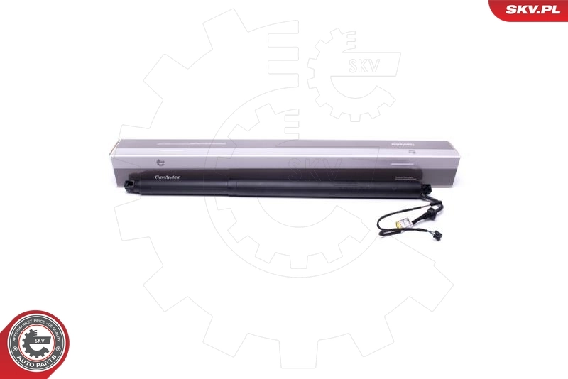 Electric Motor, tailgate 52SKV946