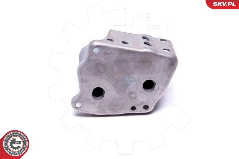 Oil Cooler, engine oil 31SKV223