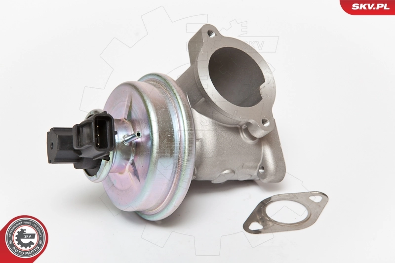 EGR Valve 14SKV061