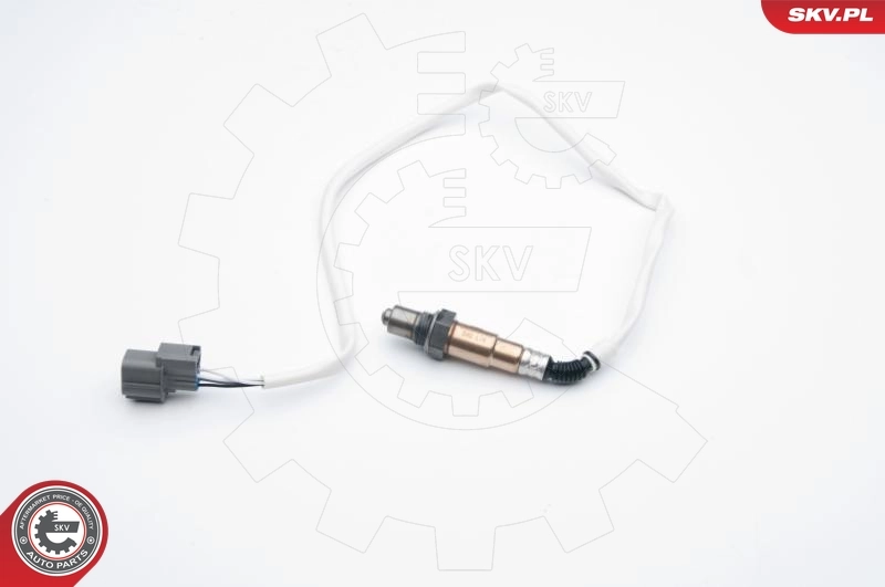 Oxygen Sensor 09SKV648