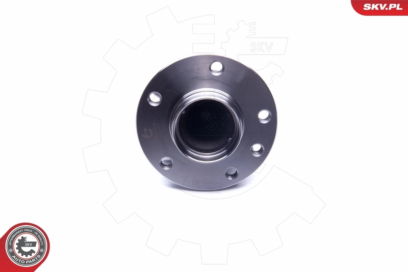 Wheel Bearing Kit 29SKV258