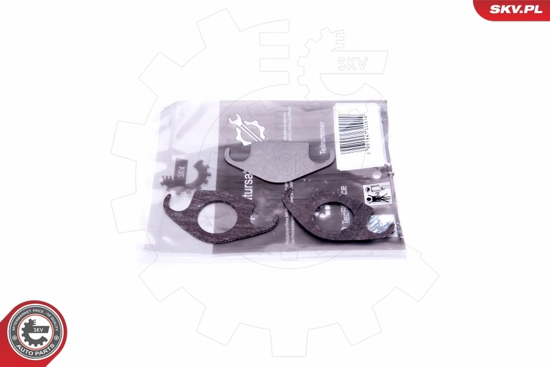 Repair Kit, intake manifold module 14SKV505