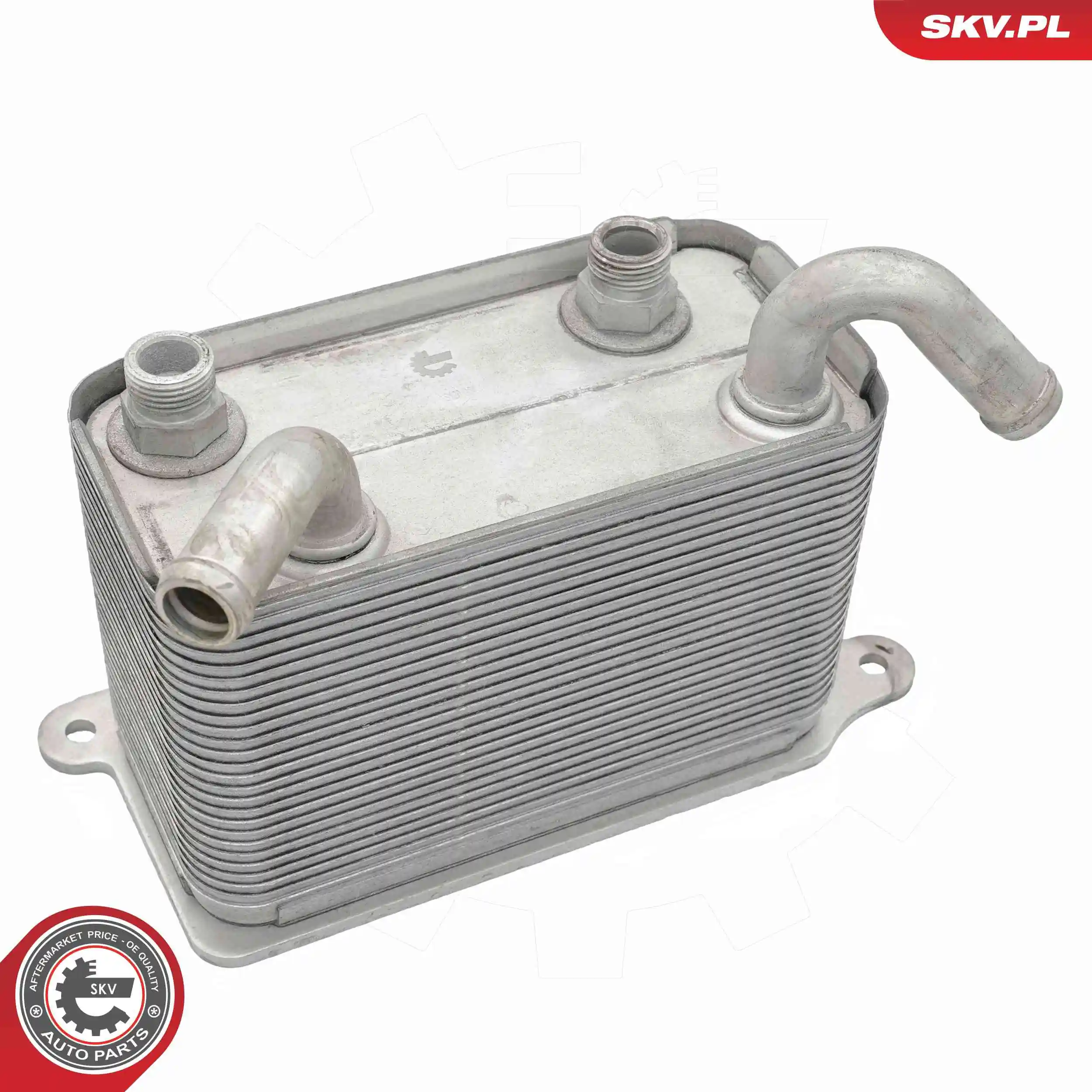 Oil Cooler, engine oil 31SKV353