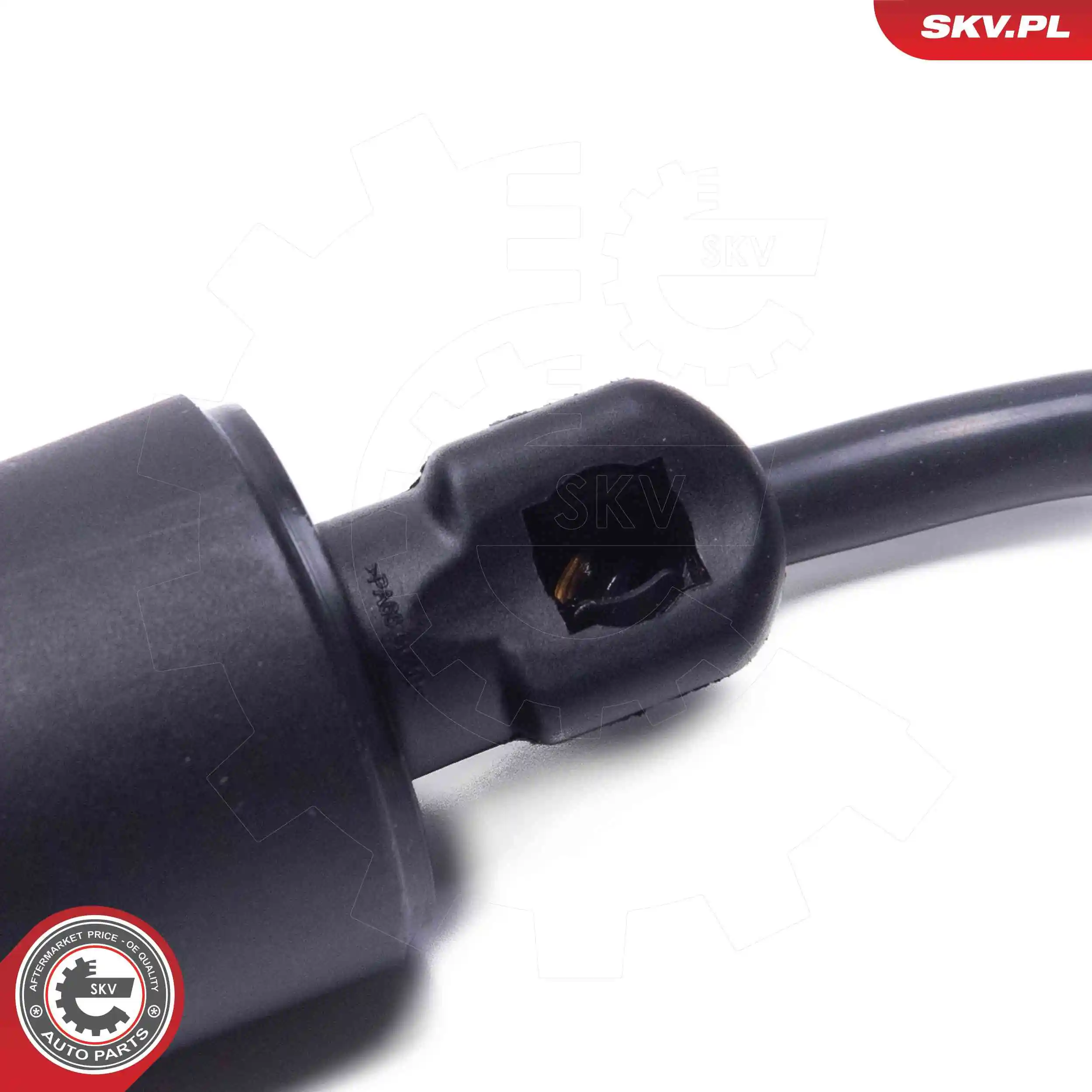ESEN SKV 52SKV967 Electric Motor, tailgate
