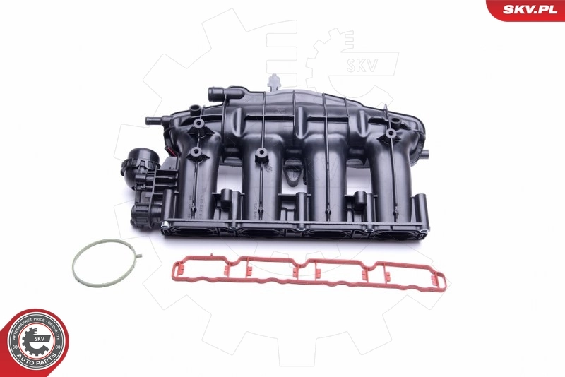Intake Manifold Module 49SKV028