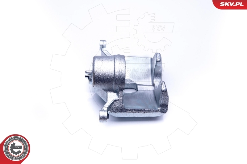 Brake Caliper 42SKV201
