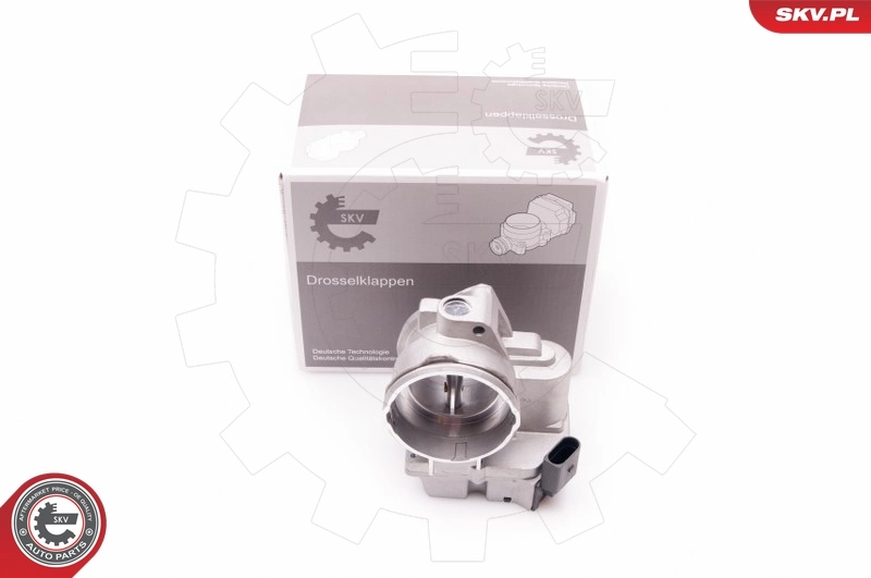 Throttle Body 12SKV062