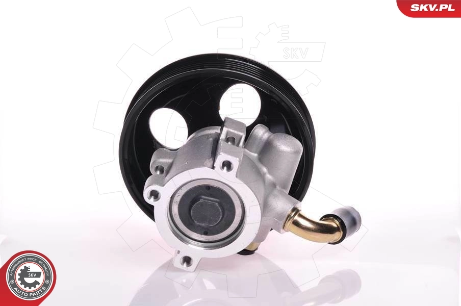 Hydraulic Pump, steering 10SKV142