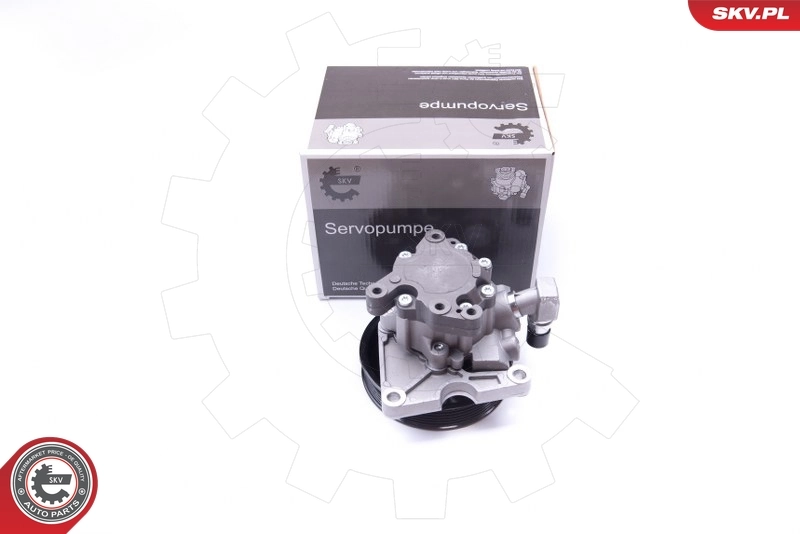 Hydraulic Pump, steering 10SKV270