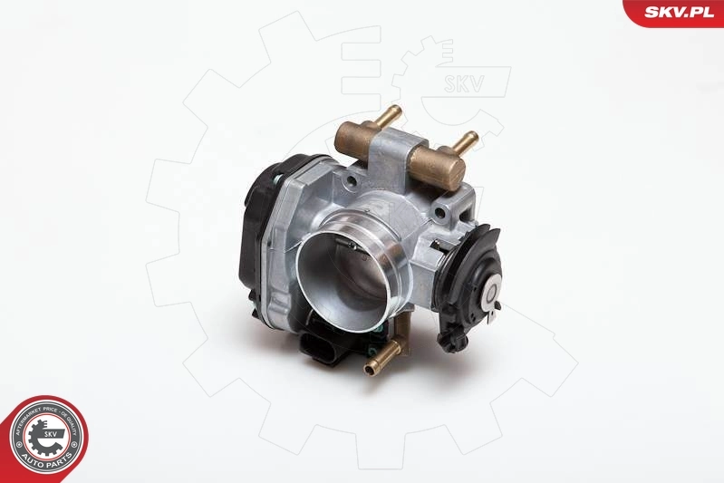 Throttle Body 12SKV003