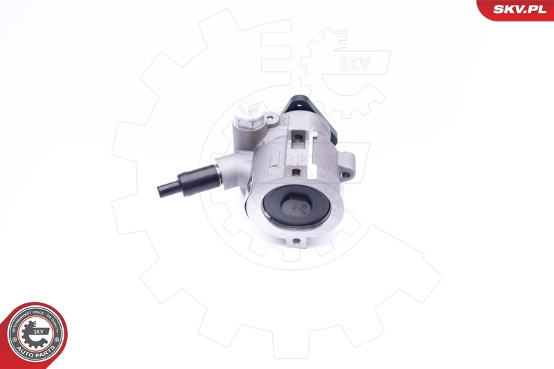 Hydraulic Pump, steering 10SKV258