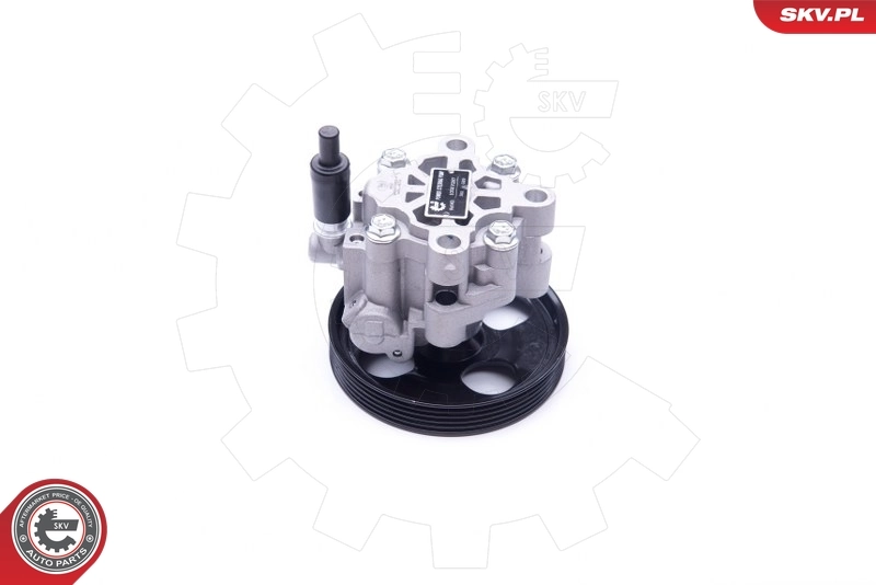 Hydraulic Pump, steering 10SKV287