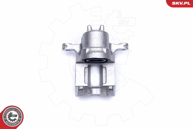 Brake Caliper 42SKV244