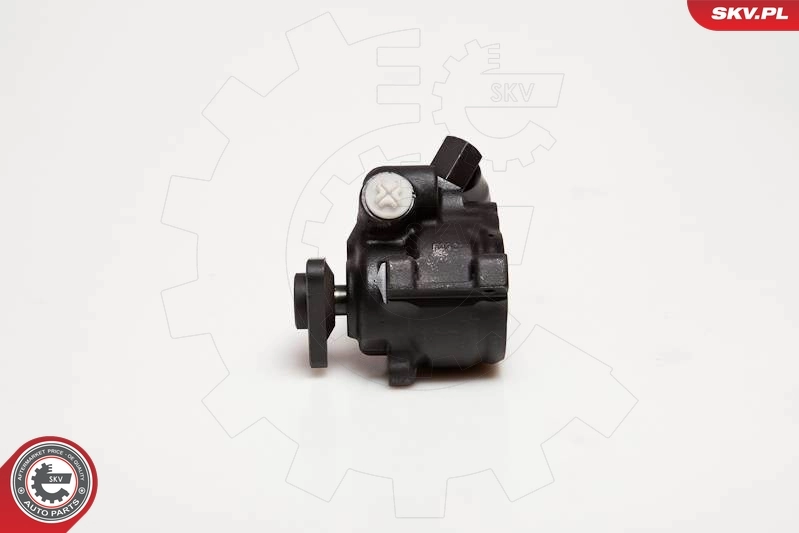 Hydraulic Pump, steering 10SKV056