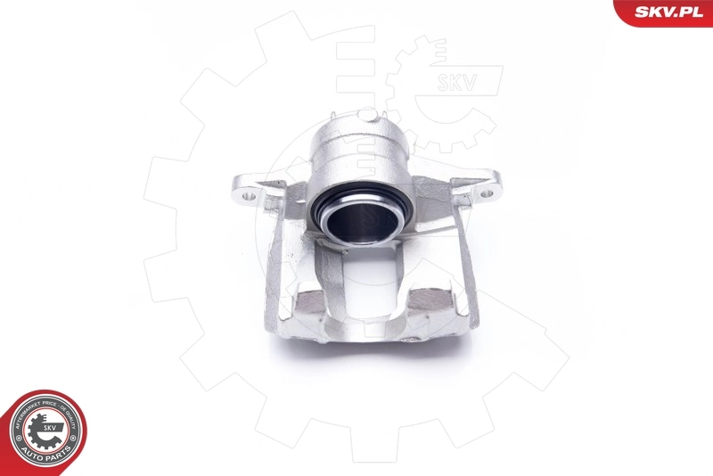 Brake Caliper 23SKV312
