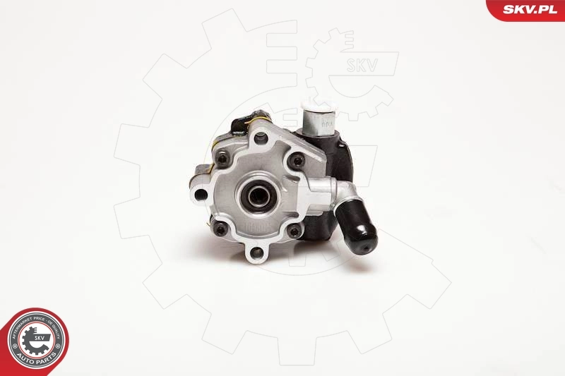 Hydraulic Pump, steering 10SKV116