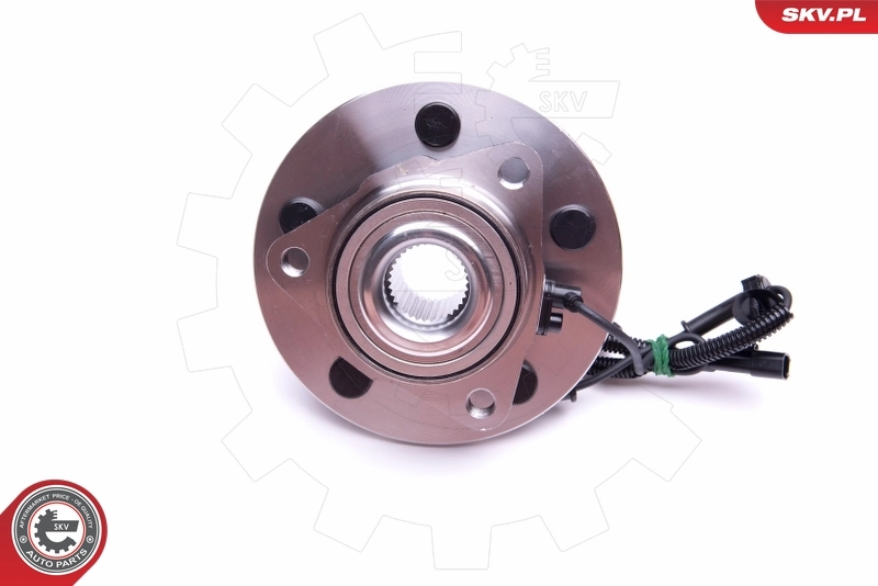 ESEN SKV 29SKV359 Wheel Bearing Kit