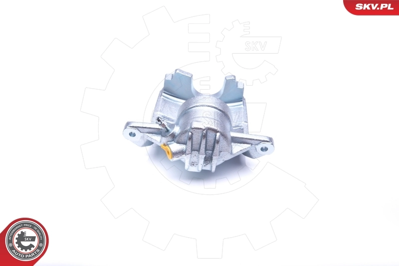Brake Caliper 42SKV222