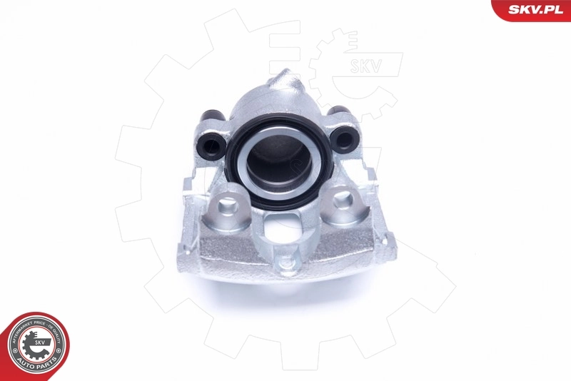 Brake Caliper 44SKV241