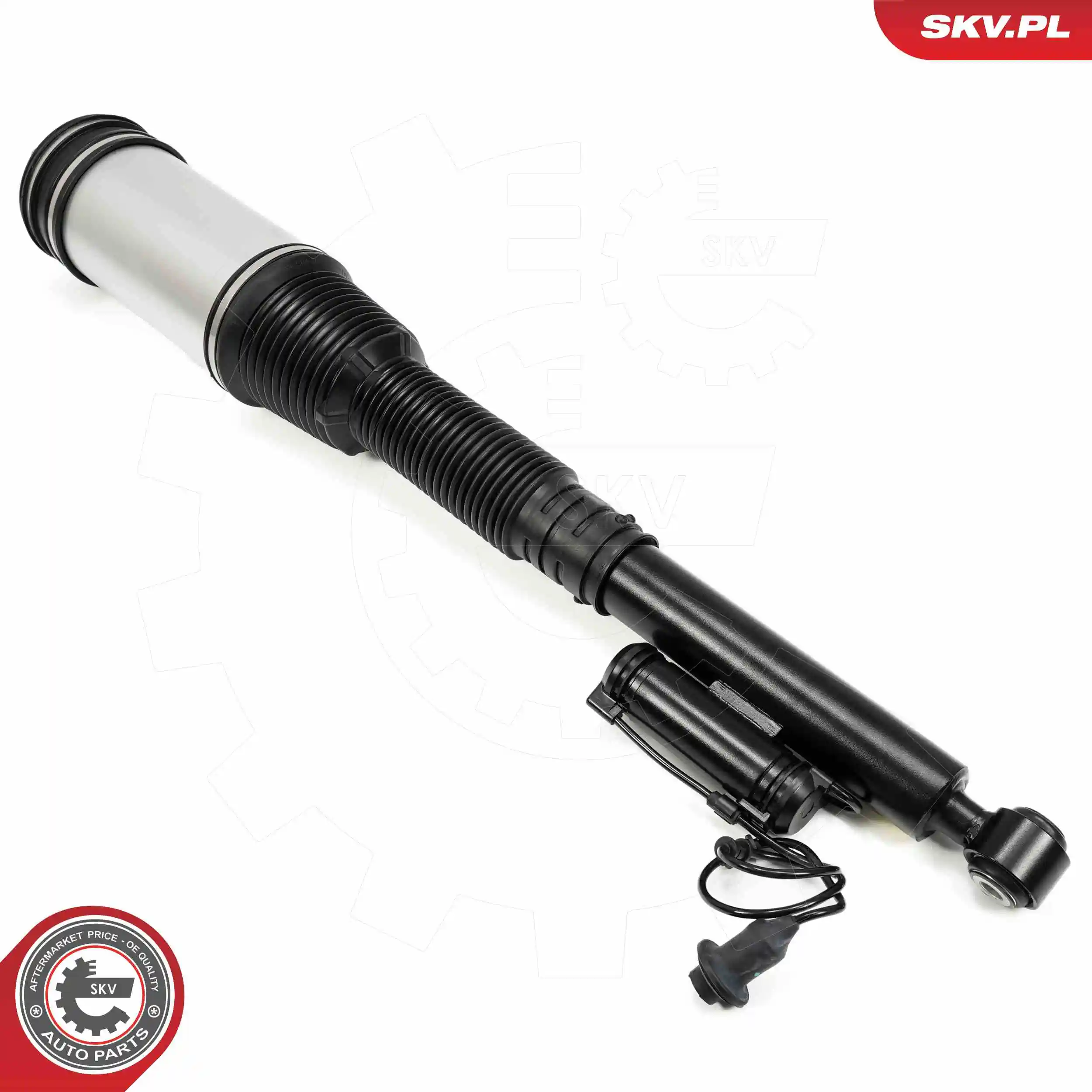 Air Suspension Strut 58SKV719