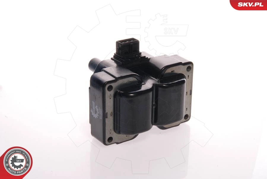 Ignition Coil 03SKV010
