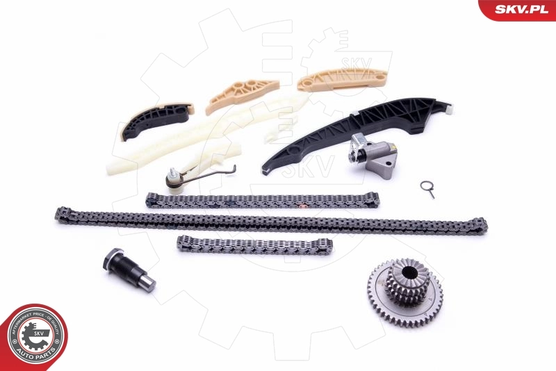 Timing Chain Kit 21SKV139