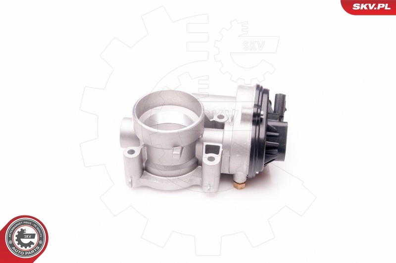 Throttle Body 12SKV069
