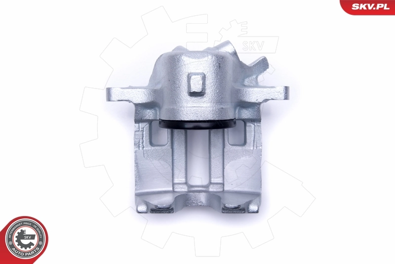 Brake Caliper 50SKV322