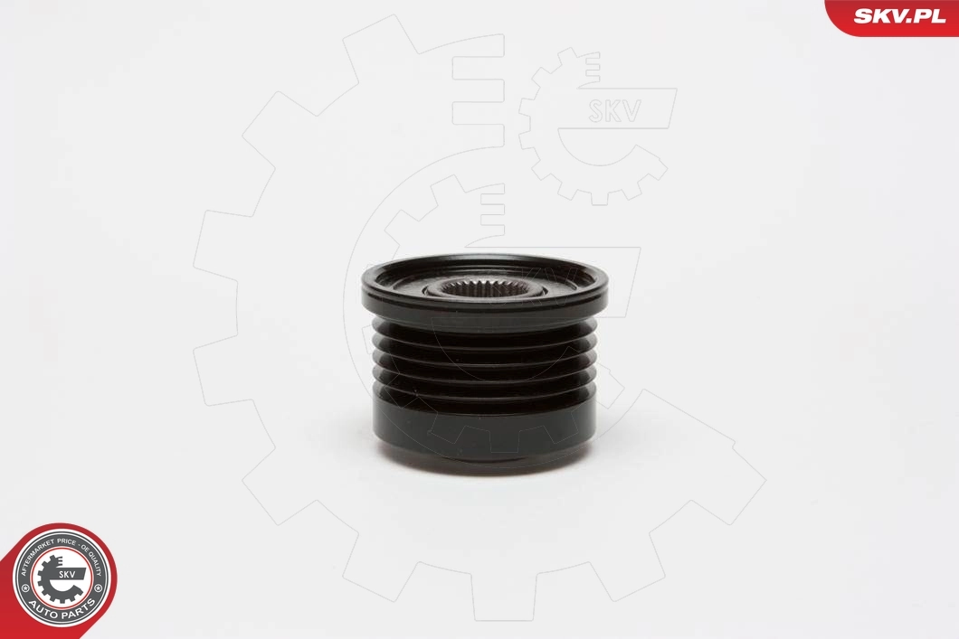 Alternator Freewheel Clutch 11SKV024