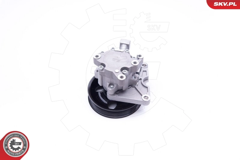 Hydraulic Pump, steering 10SKV192