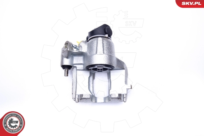 Brake Caliper 45SKV071